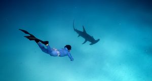 Johnny Sunnex freediving