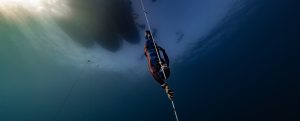 Enchante Gallardo freediver